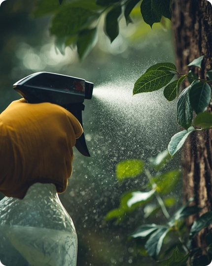 Deep-Root Fertilization